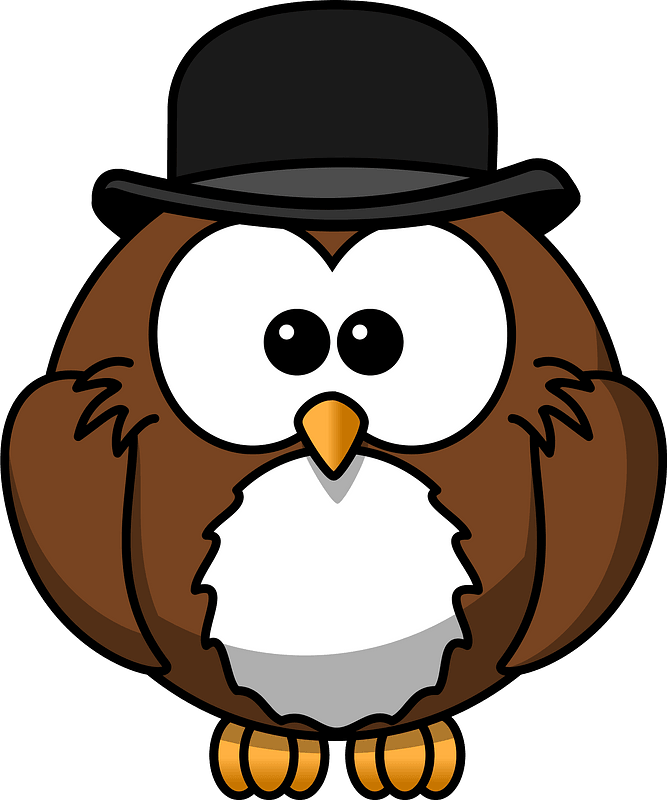 Owl in a hat