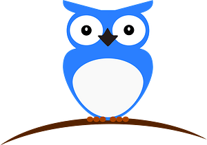 Blue owl on branch