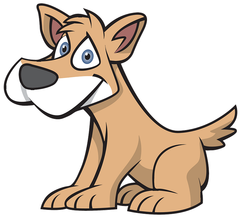 Dog with blue eyes