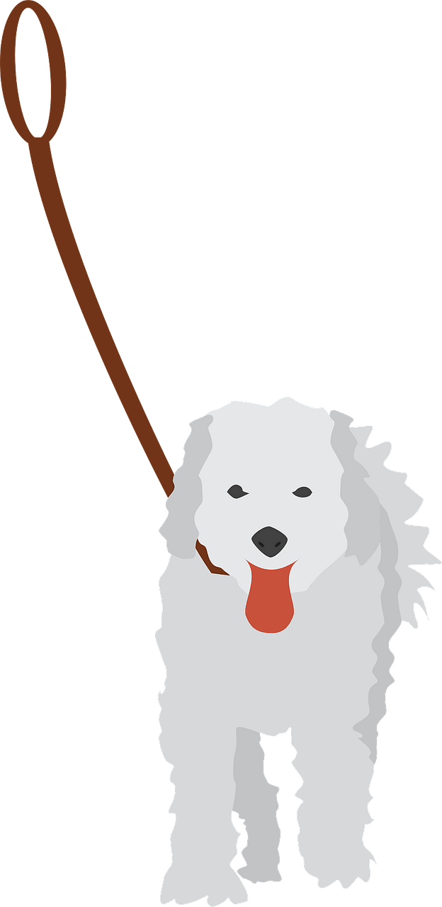 Dog on a leash