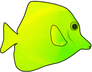 Yellow fish