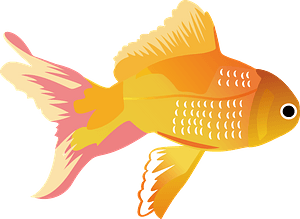 Goldfish