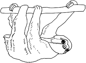 Sloth outline