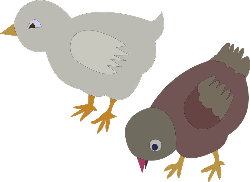 Two Chickens