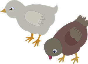 Two Chickens