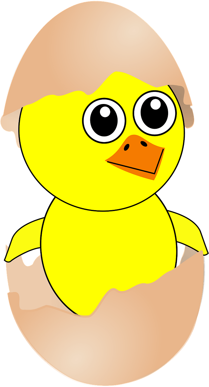 Funny chick coming out from the egg with a eggshell hat