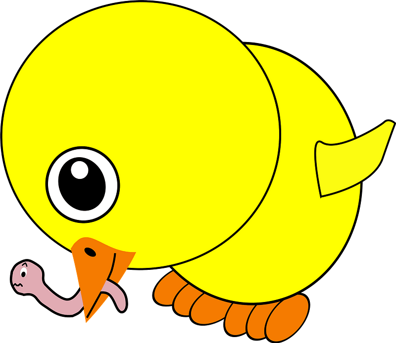 Funny chick eating earthworm