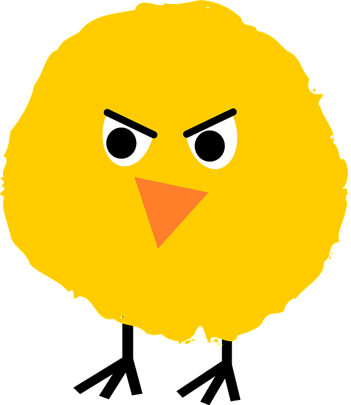 Fluffy chick