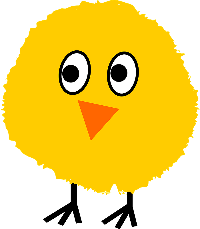 Fluffy chick