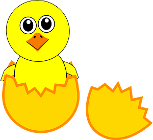 Funny chick coming out from the egg