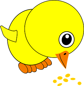 Funny chick eating bird seed