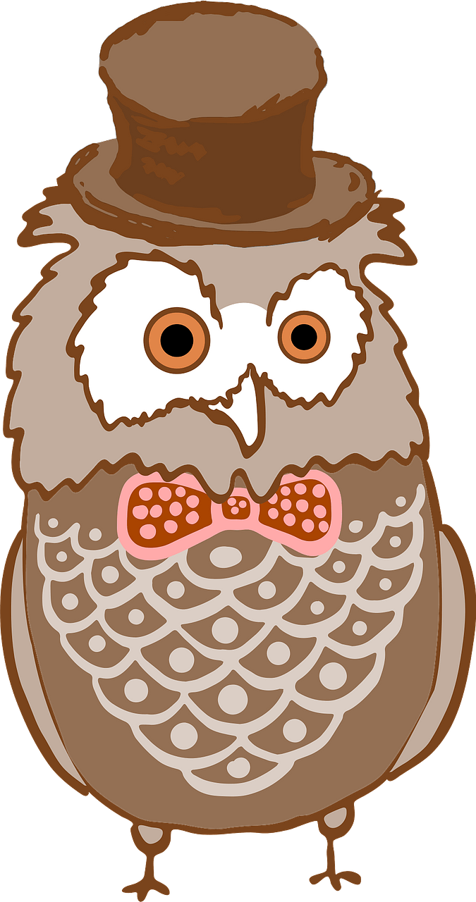 Brown owl in bandana, bowtie, and top hat