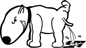 Bull Terrier