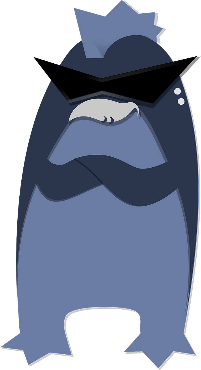 Korora punk