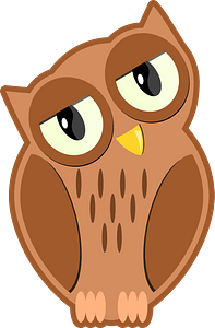 Brown Owl with Brown Eye Rings