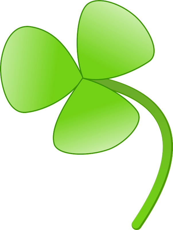 Three leaf clover