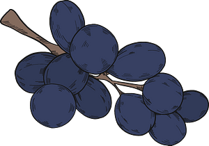 Black grapes