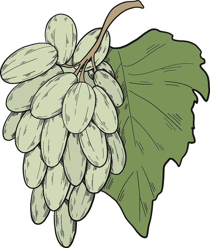 Bunch of grapes