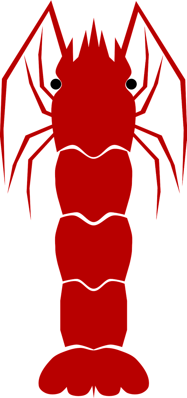 Udang