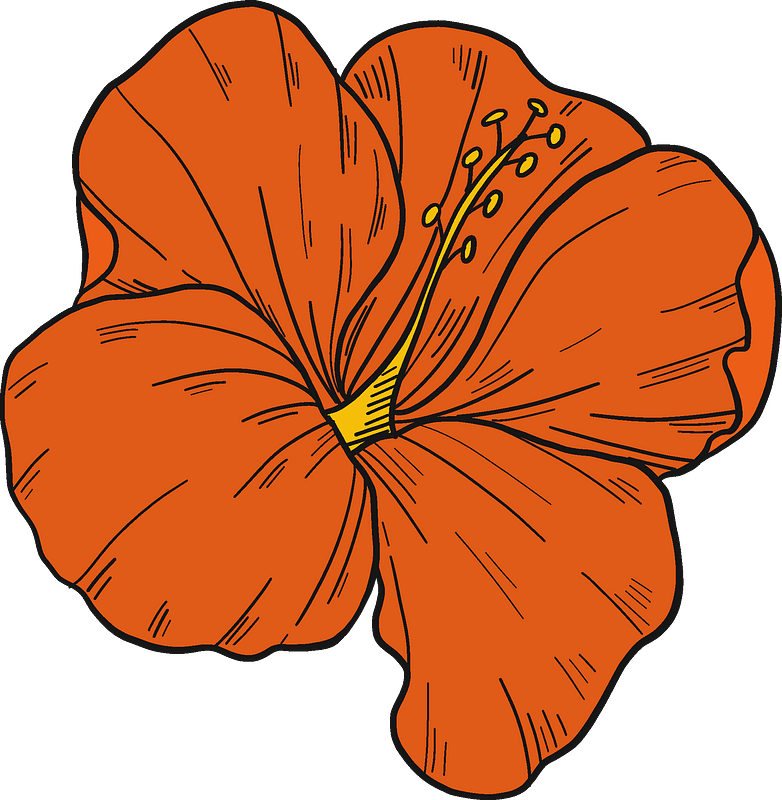 Red hibiscus flower