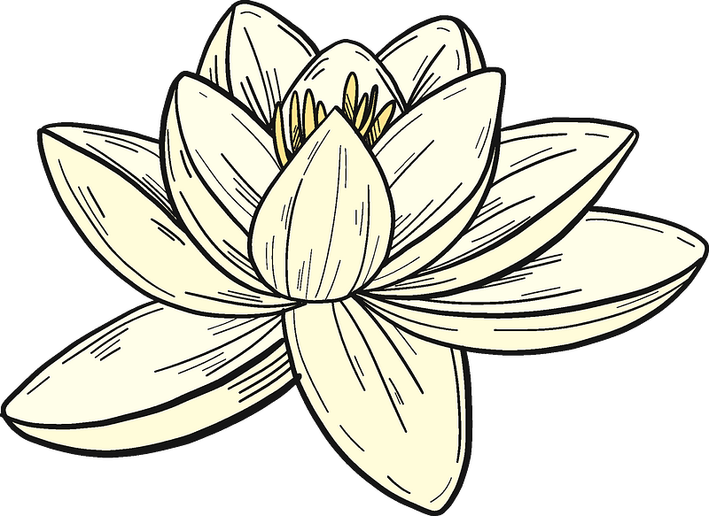 100+ Free Water Lily Clipart Images