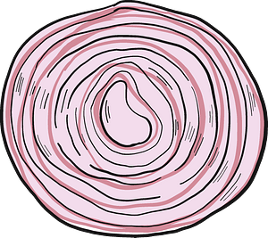 Slice of onion