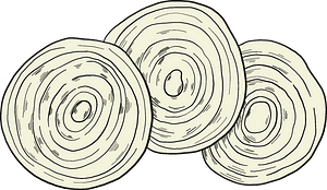 Slices of onion
