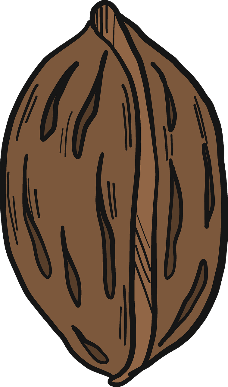 Peach stone