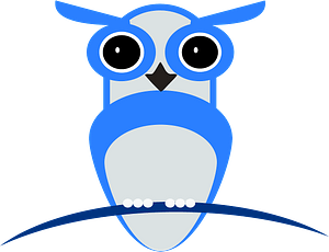 Blue Owl on branch