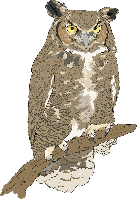 Eagle owl on branch