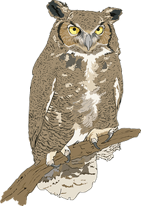 Eagle owl on branch