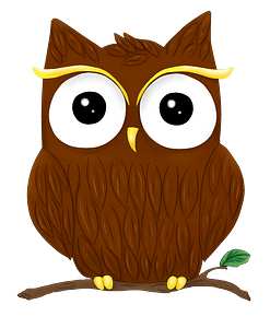 Cute owl on branch
