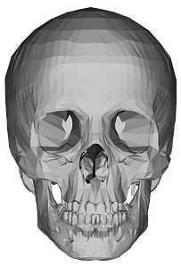 3 d low poly skull
