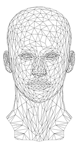 Low poly female head wireframe