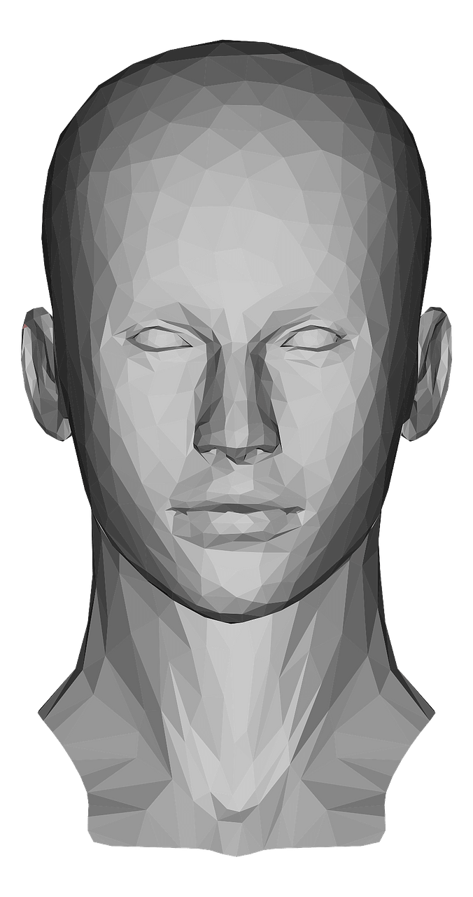 Low poly female head