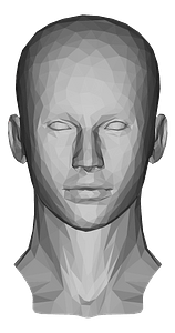 Low poly female head