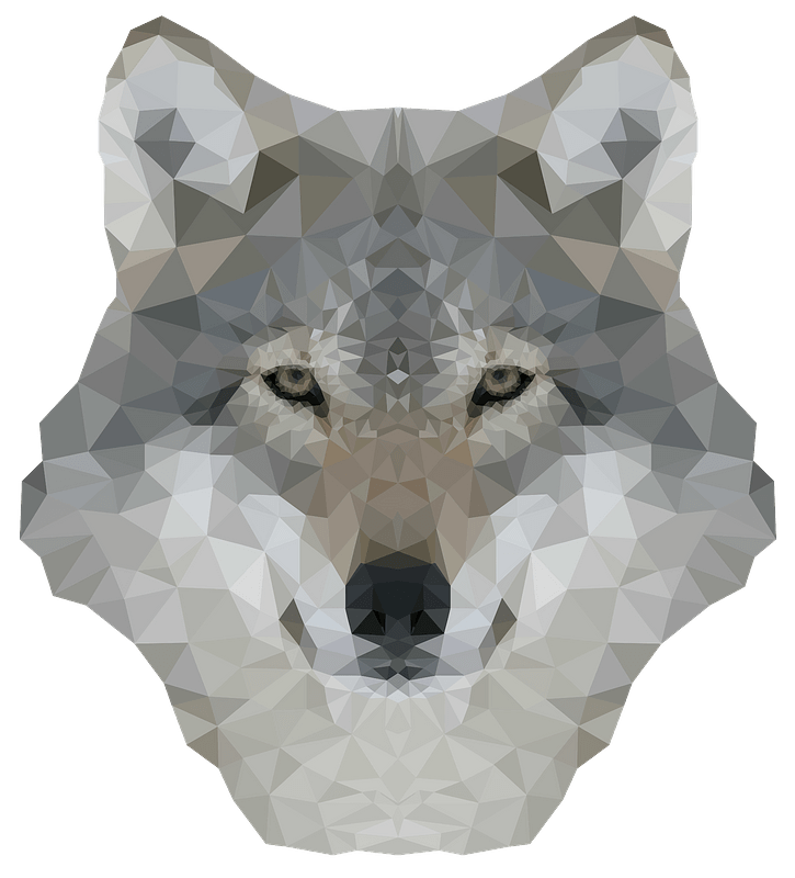 Low poly gray wolf