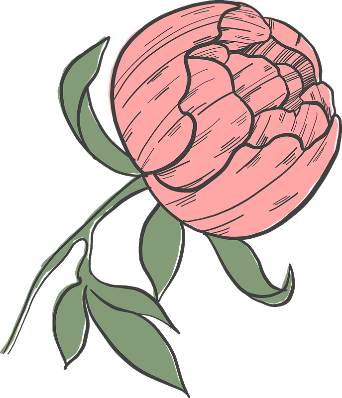 Paeoniaceae