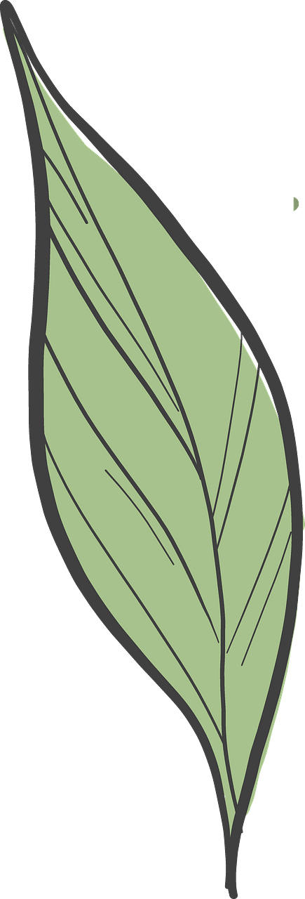Peony leaf