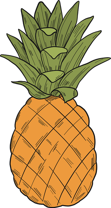 菠萝