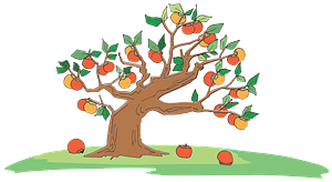 Apple tree