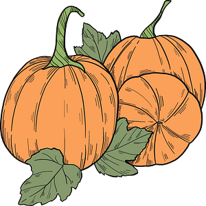 Pumpkin patch