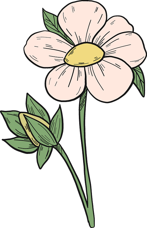 Strawberry flower