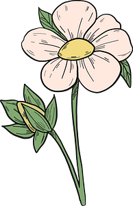 Strawberry flower