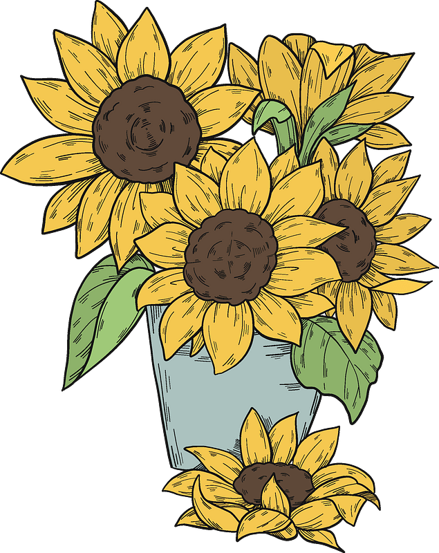 Bouquet of sunflowers