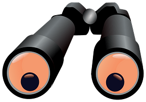 Binocular