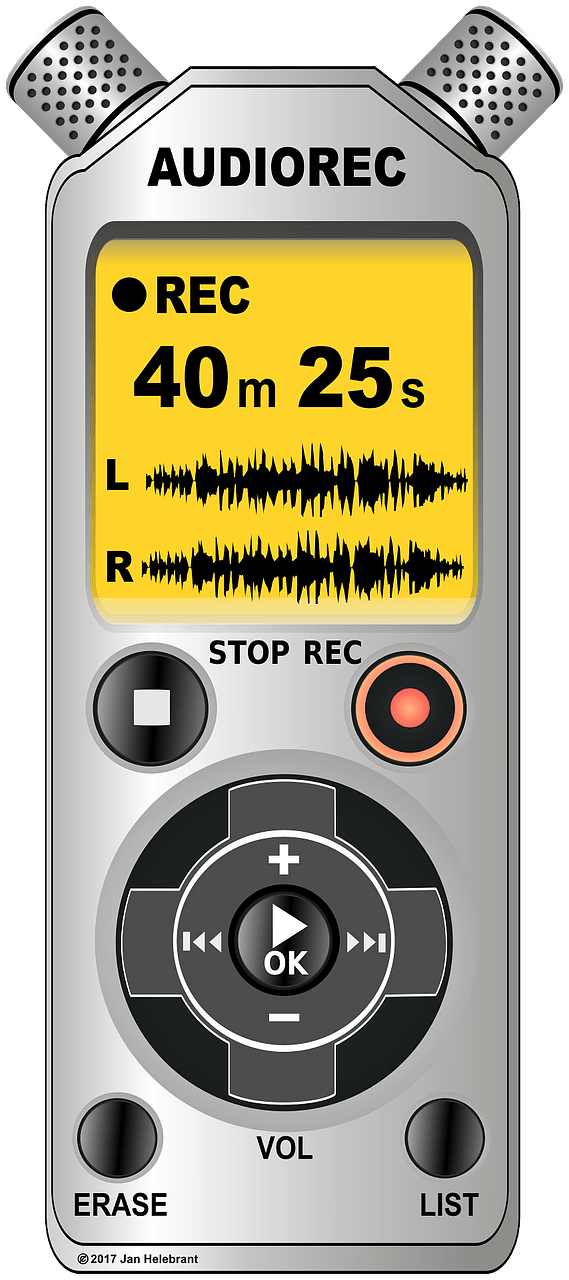 Voice / audio recorder / dictaphone