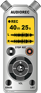 Voice / audio recorder / dictaphone