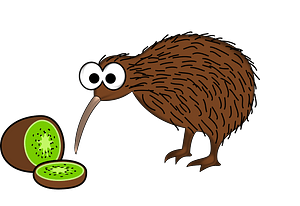 Kiwi Fruit and Kiwi Bird