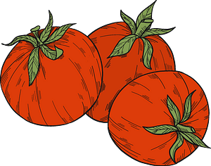 Tomatoes